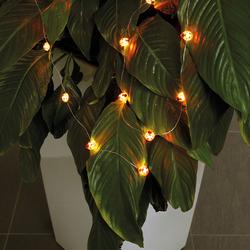 Marienkäfer Lichterkette