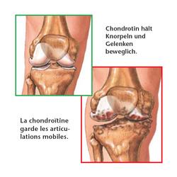 Capsules chondroïtine 60 pièces
