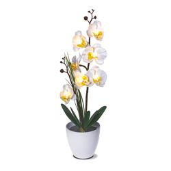 LED-Orchidee