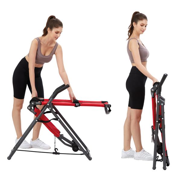 Backlounge 2in1 Inversionstrainer inkl. Trainingsplan GRATIS