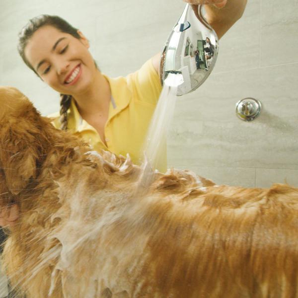 Pomme de douche Aquacare