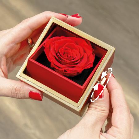 Schmuck- und Geschenkbox