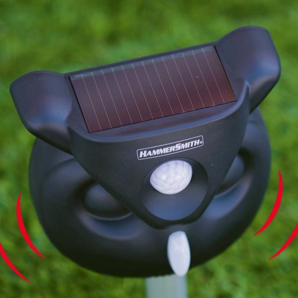 Hammersmith HawkPatrol Schädlingsabwehr mit Vibration & Ultraschall