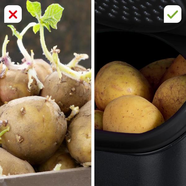Kit économique Tupperware PotatoSmart avec OnionSmart et GarlicSmart GRATUIT