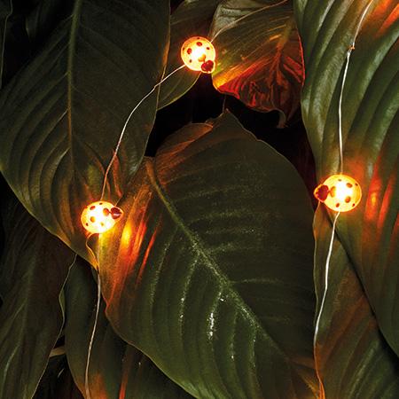 Marienkäfer Lichterkette