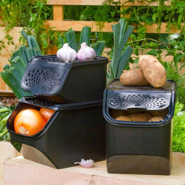 Kit économique Tupperware PotatoSmart avec OnionSmart et GarlicSmart GRATUIT