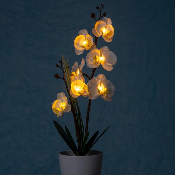 Orchidée LED