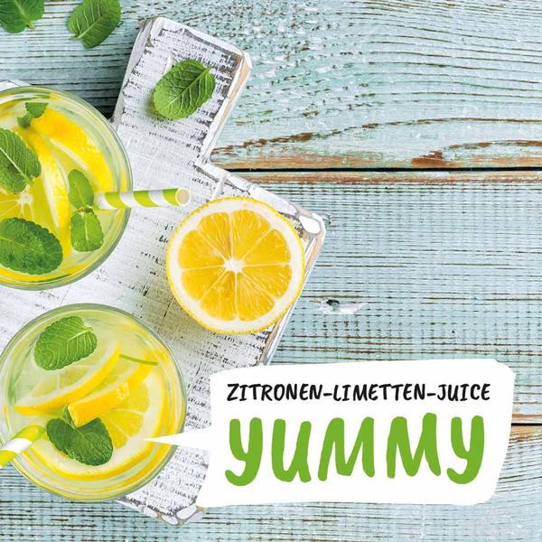 Fitmix Juicer Rezeptbuch